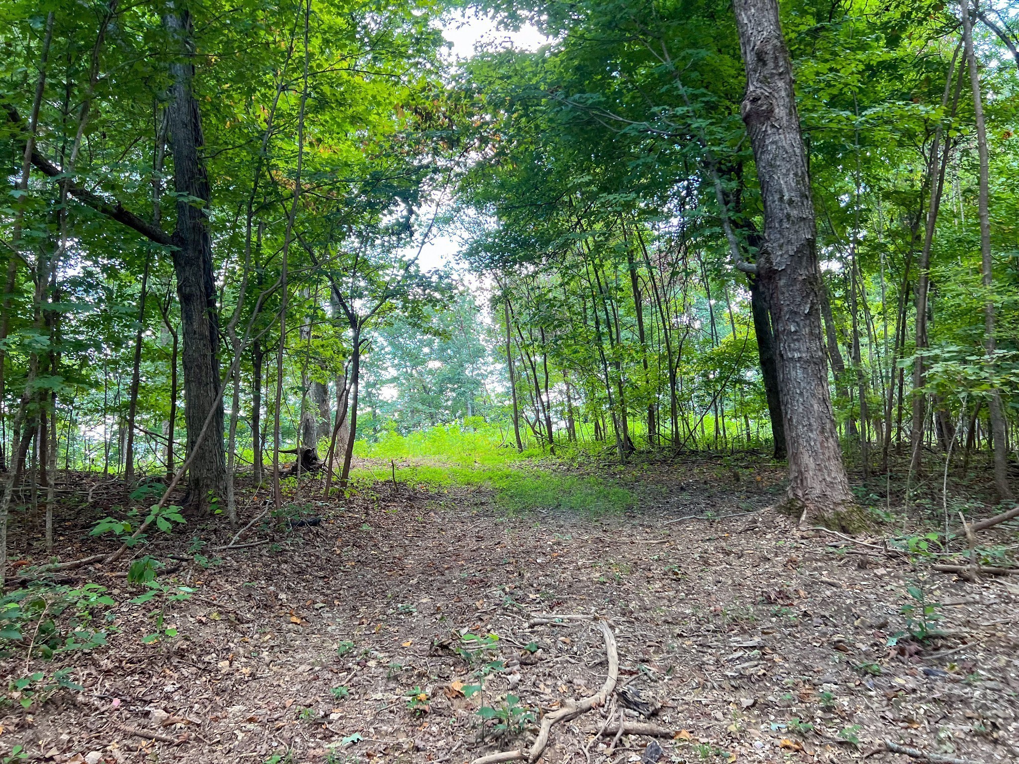 7659 Burks Road Christiana TN 37037