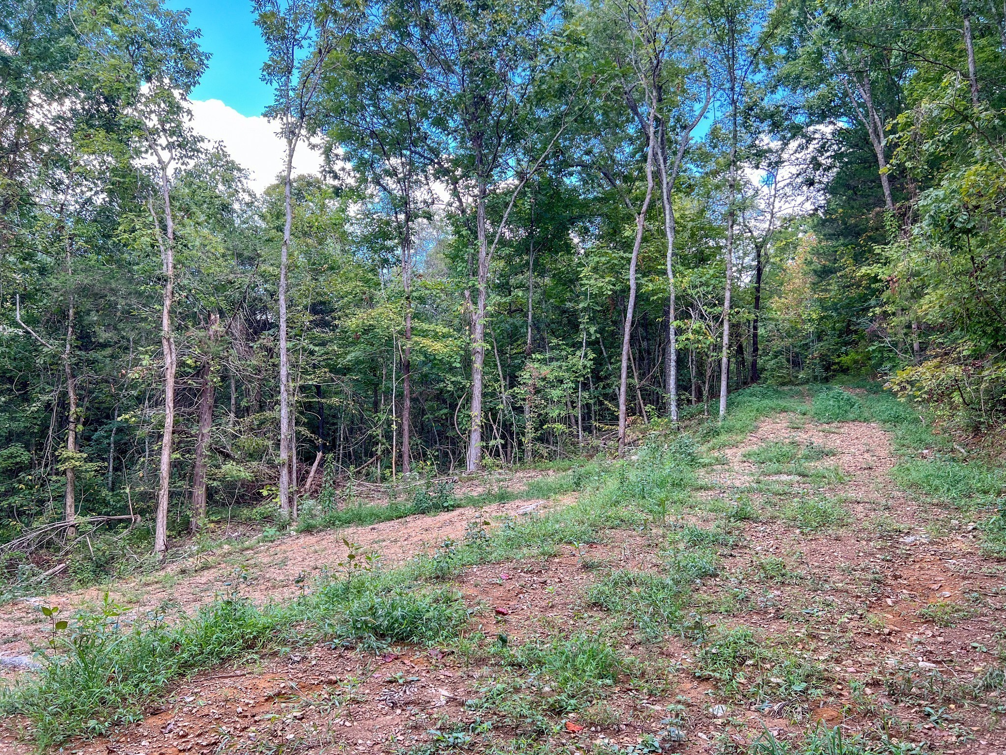 7659 Burks Road Christiana TN 37037