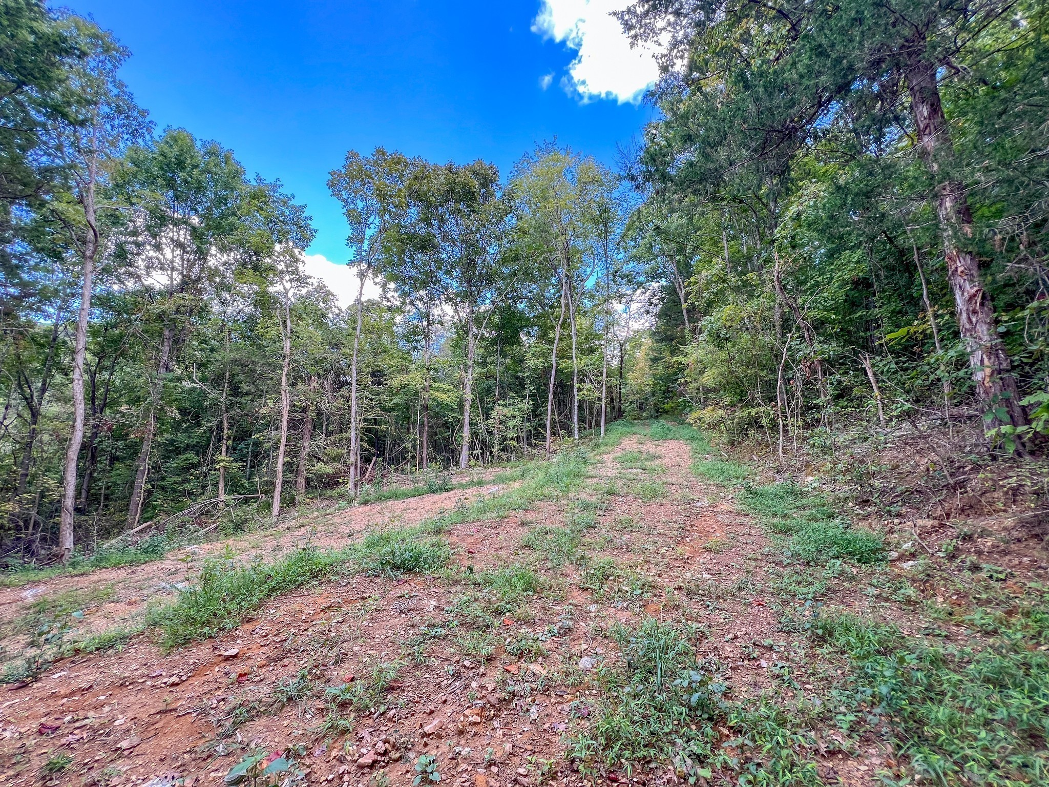 7659 Burks Road Christiana TN 37037