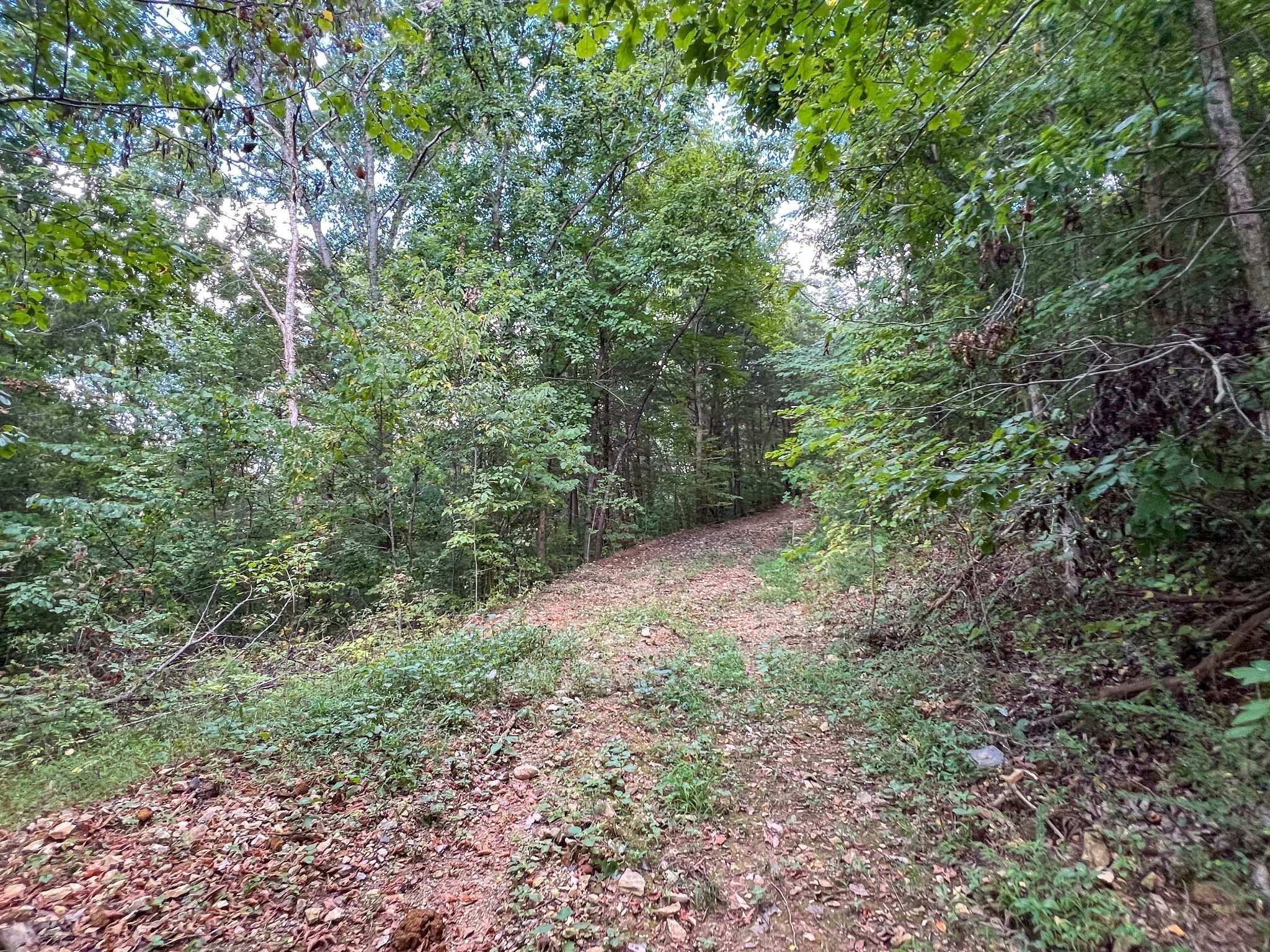 7659 Burks Road Christiana TN 37037