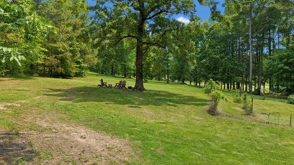 2307 Hamlin Drive Paris TN 38242