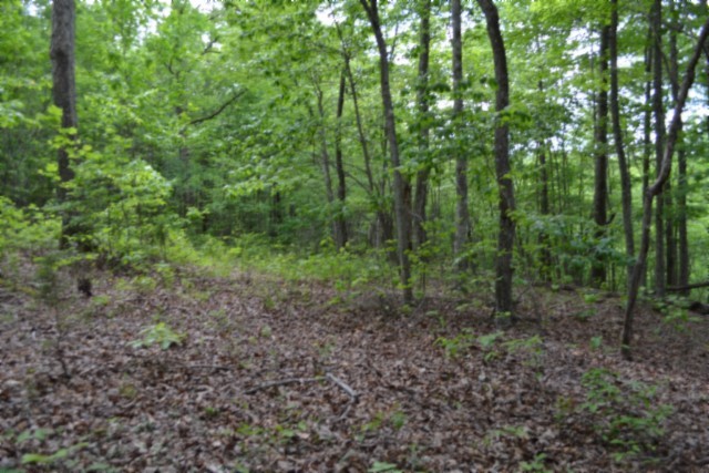 0 Forest Trail Lane Celina TN 38551