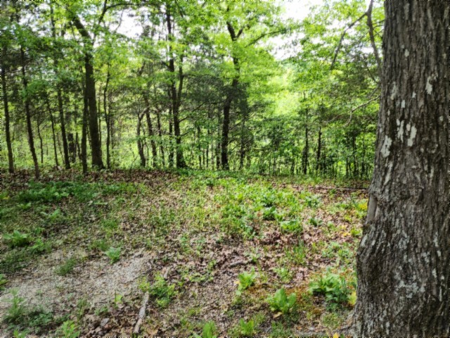 0 Forest Trail Lane Celina TN 38551