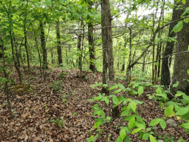 0 Forest Trail Lane Celina TN 38551
