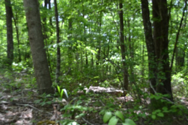 0 Forest Trail Lane Celina TN 38551