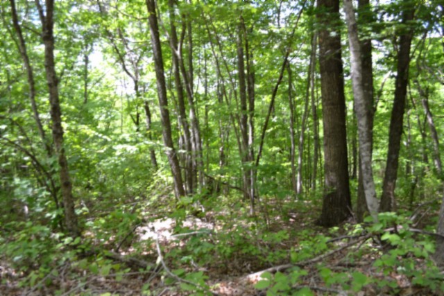 0 Forest Trail Lane Celina TN 38551