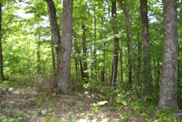 0 Forest Trail Lane Celina TN 38551