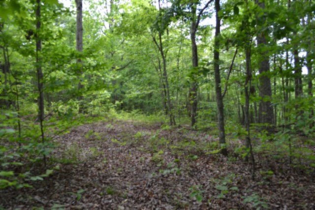0 Forest Trail Lane Celina TN 38551