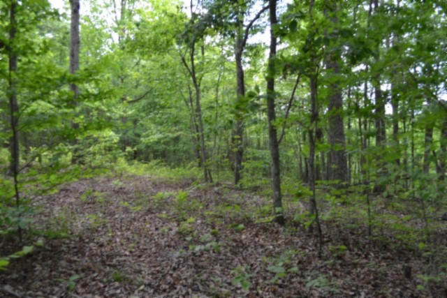 0 Forest Trail Lane Celina TN 38551
