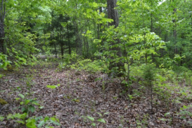 0 Forest Trail Lane Celina TN 38551