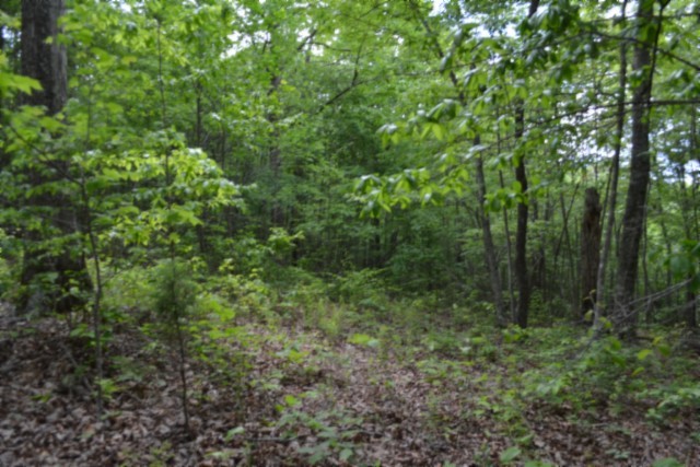 0 Forest Trail Lane Celina TN 38551