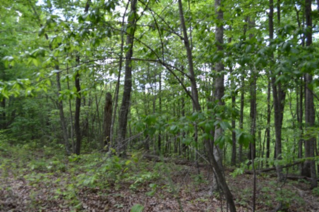 0 Forest Trail Lane Celina TN 38551