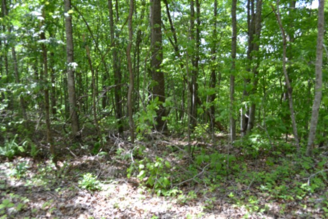 0 Forest Trail Lane Celina TN 38551