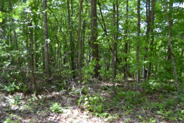 0 Forest Trail Lane Celina TN 38551