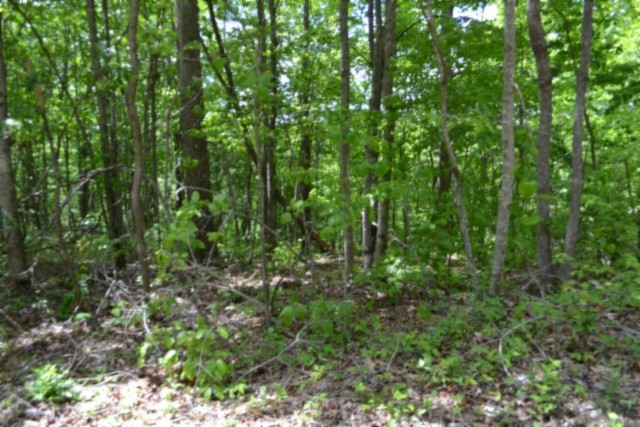 0 Forest Trail Lane Celina TN 38551