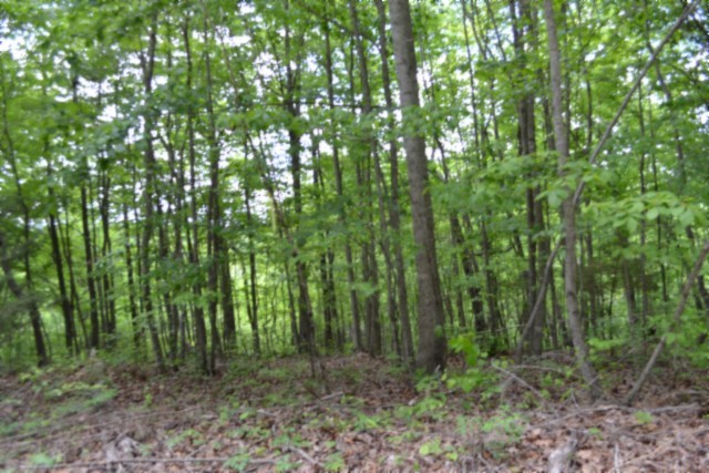 0 Forest Trail Lane Celina TN 38551