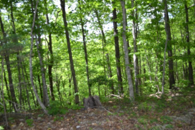 0 Forest Trail Lane Celina TN 38551
