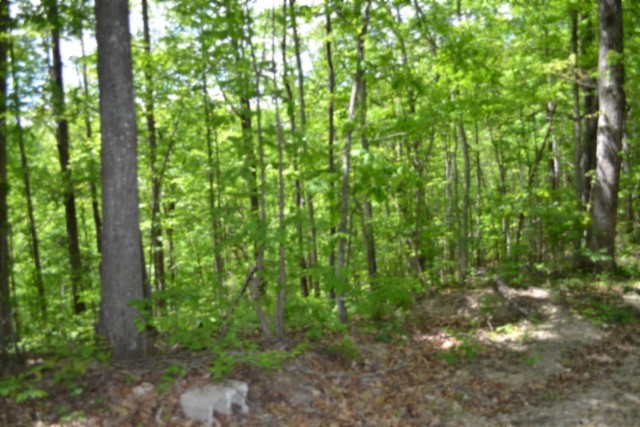 0 Forest Trail Lane Celina TN 38551