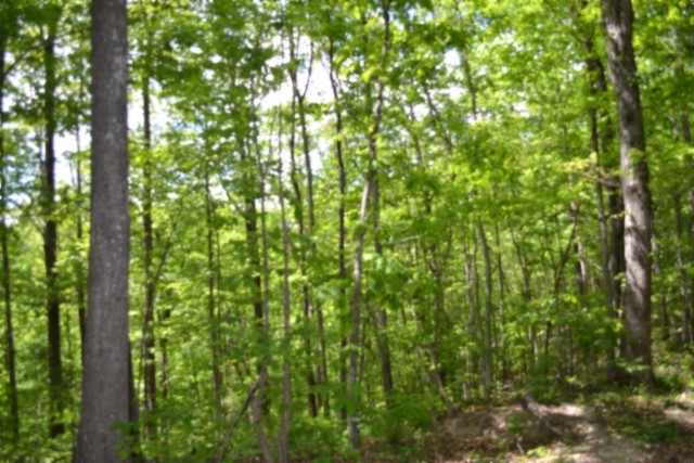 0 Forest Trail Lane Celina TN 38551