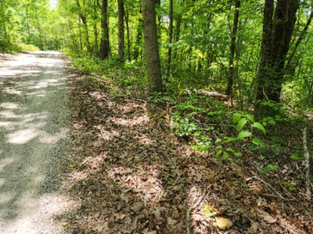 0 Forest Trail Lane Celina TN 38551