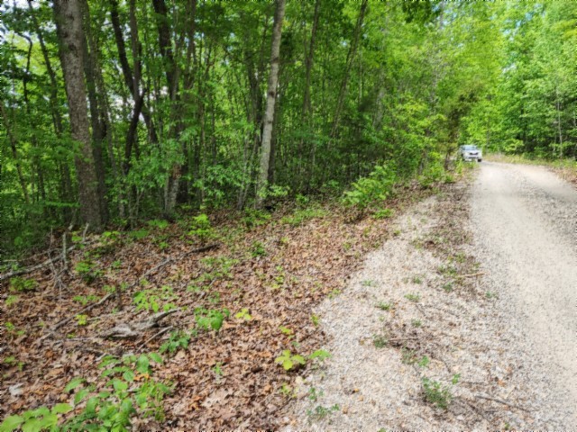 0 Forest Trail Lane Celina TN 38551