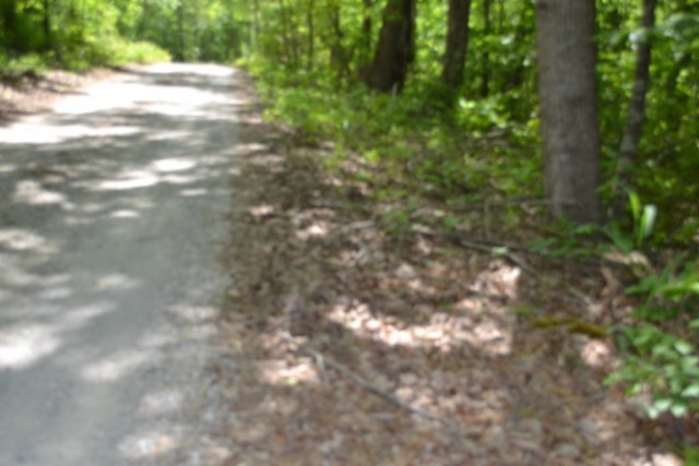 0 Forest Trail Lane Celina TN 38551