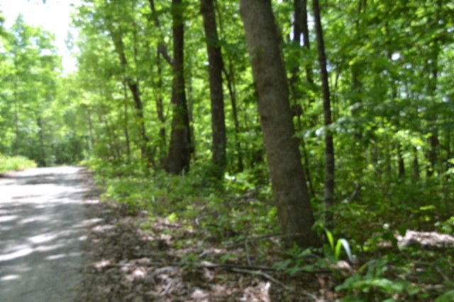 0 Forest Trail Lane Celina TN 38551