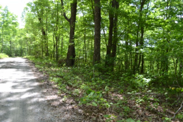 0 Forest Trail Lane Celina TN 38551