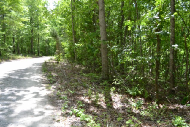 0 Forest Trail Lane Celina TN 38551
