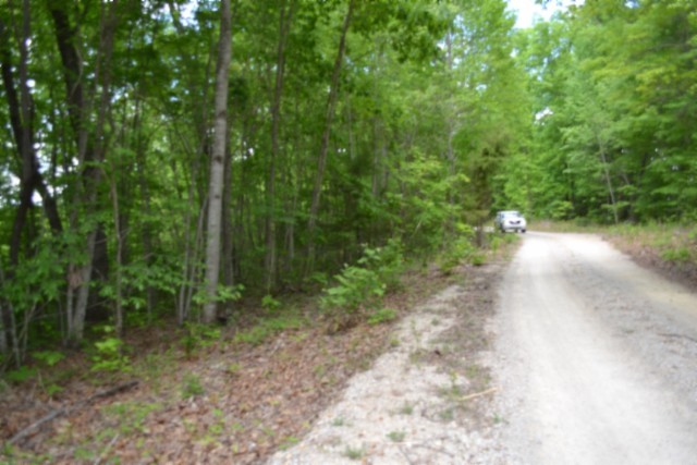 0 Forest Trail Lane Celina TN 38551