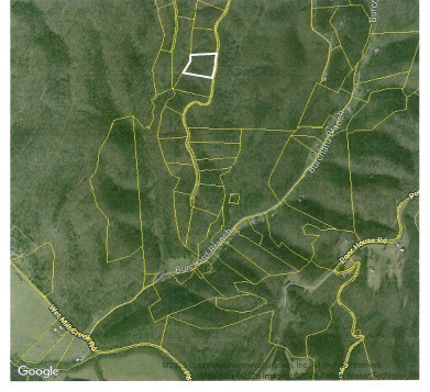 0 Forest Trail Lane Celina TN 38551