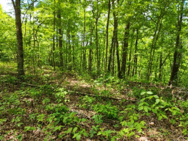 0 Forest Trail Lane Celina TN 38551
