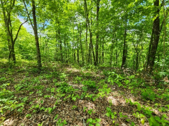 0 Forest Trail Lane Celina TN 38551