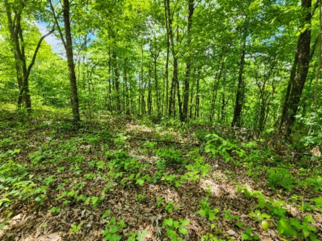 0 Forest Trail Lane Celina TN 38551