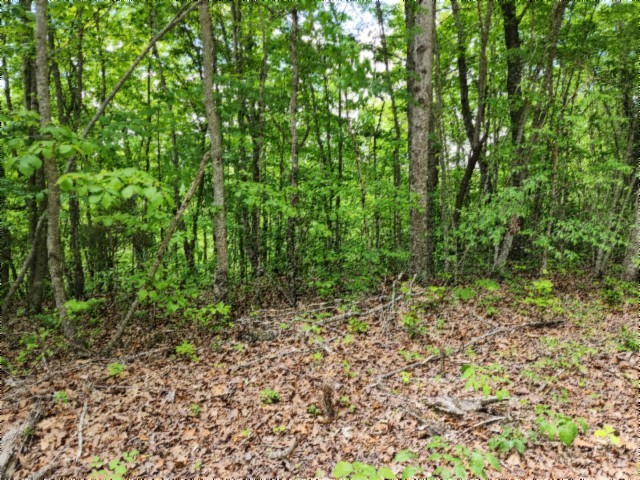 0 Forest Trail Lane Celina TN 38551