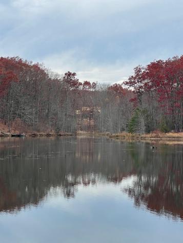 1863 Lake Louisa Loop Monteagle TN 37356