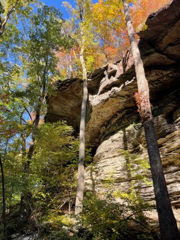 1863 Lake Louisa Loop Monteagle TN 37356