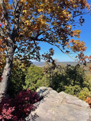 1863 Lake Louisa Loop Monteagle TN 37356