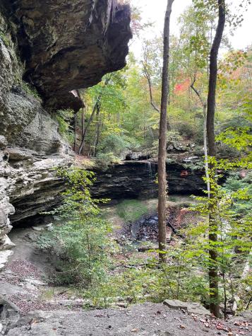 1863 Lake Louisa Loop Monteagle TN 37356