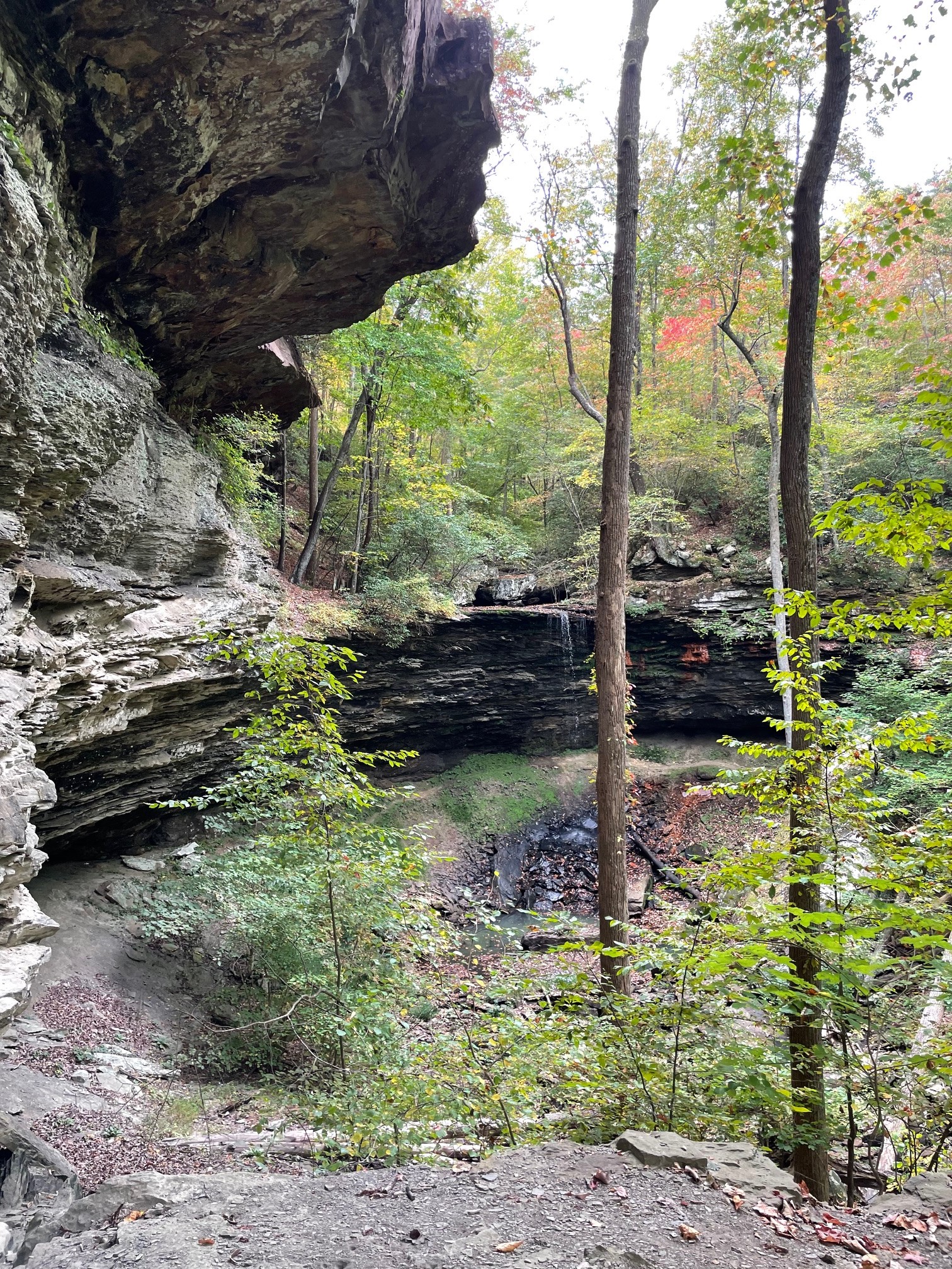 1863 Lake Louisa Loop Monteagle TN 37356