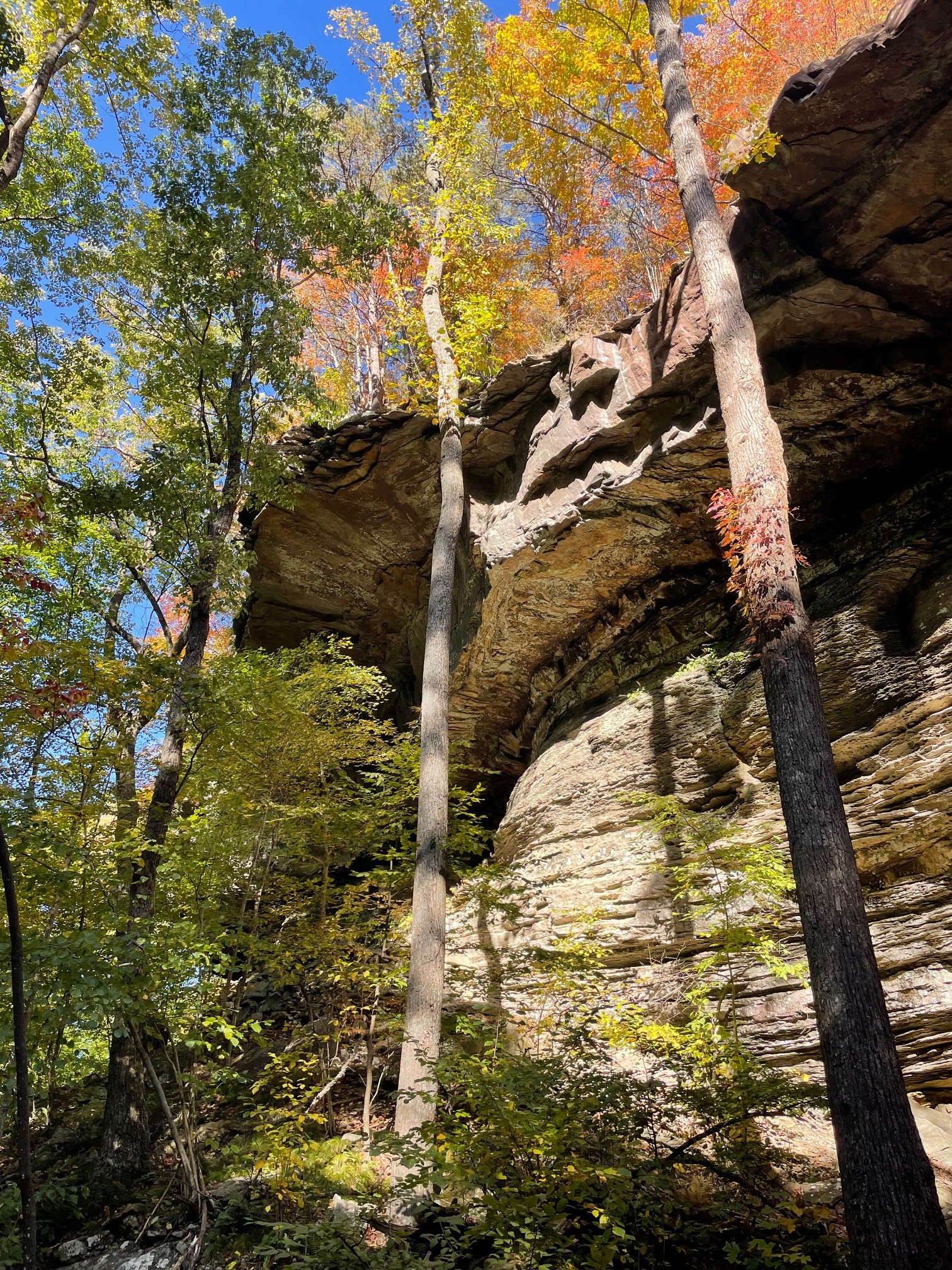1863 Lake Louisa Loop Monteagle TN 37356
