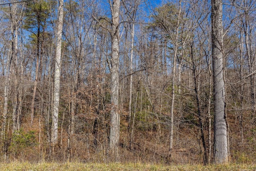 0 Sparta Highway Crossville TN 38572