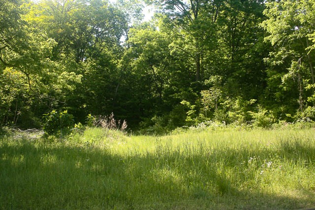 0 Harpeth Peytonsville Road Thompsons Station TN 37179