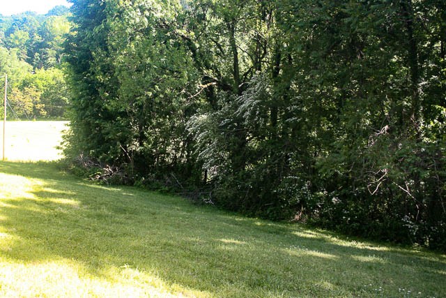 0 Harpeth Peytonsville Road Thompsons Station TN 37179