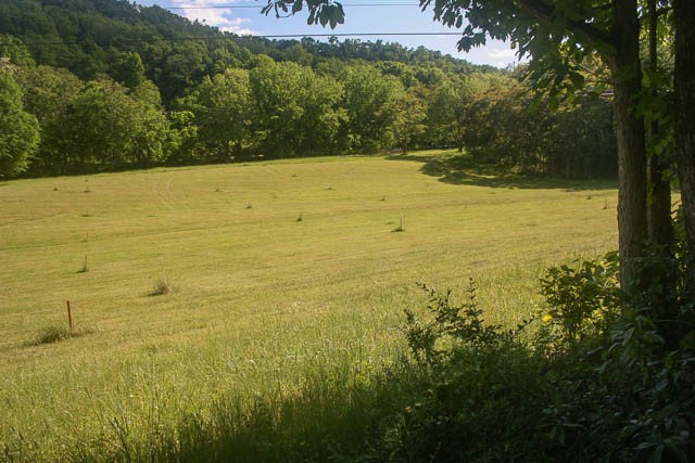 0 Harpeth Peytonsville Road Thompsons Station TN 37179