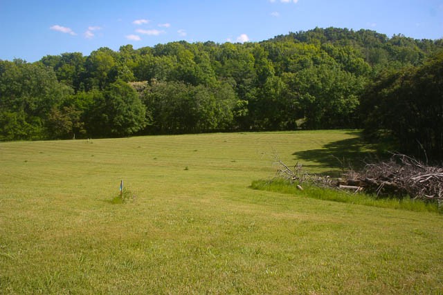 0 Harpeth Peytonsville Road Thompsons Station TN 37179