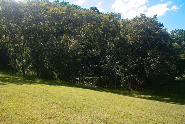 0 Harpeth Peytonsville Road Thompsons Station TN 37179