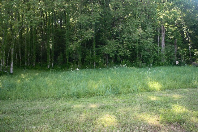 0 Harpeth Peytonsville Road Thompsons Station TN 37179