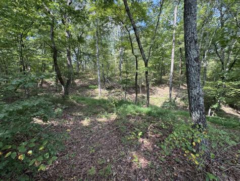 0 Box House Road Belvidere TN 37306