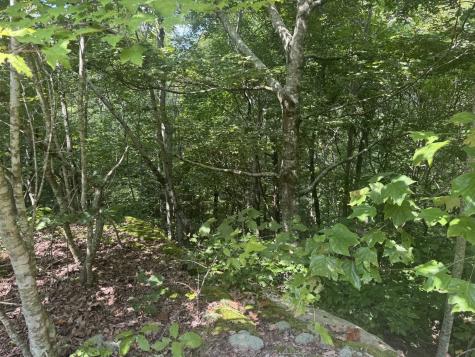 0 Box House Road Belvidere TN 37306